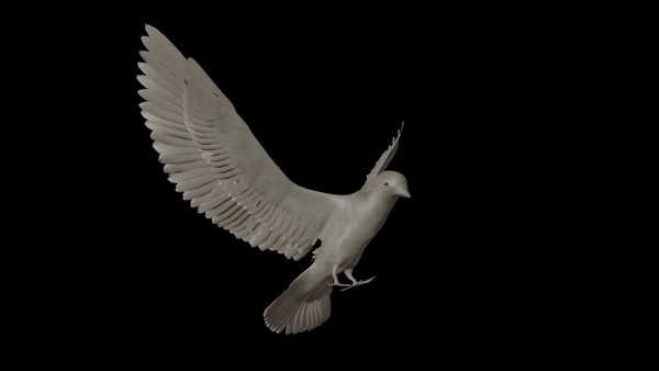 White Pigeon preview image 2